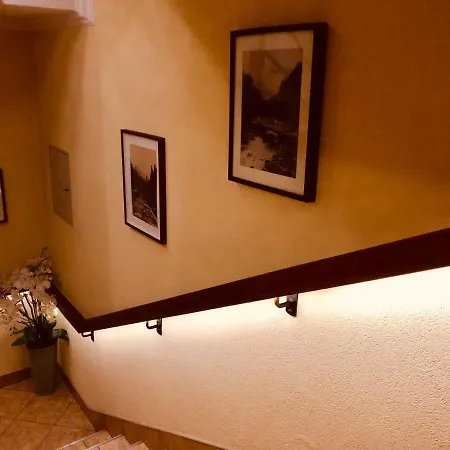 Arkady 홈스테이 *