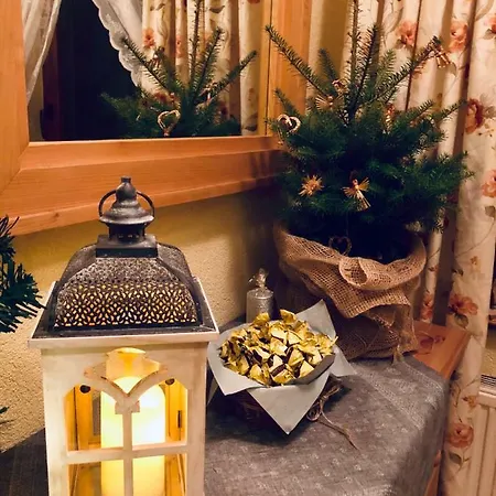 Arkady Homestay szállás